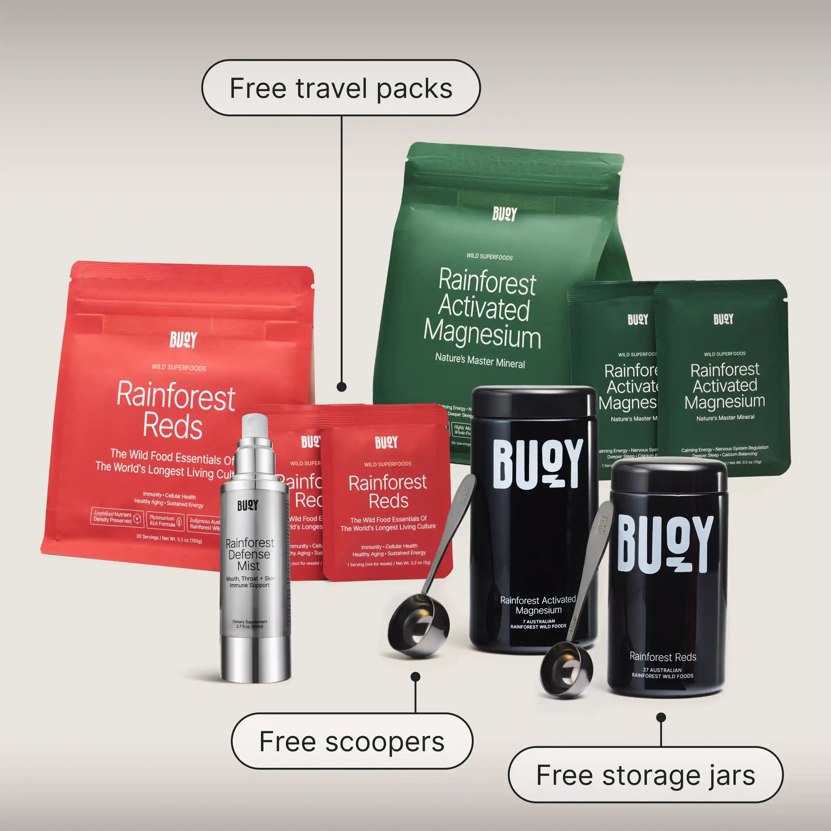 Rainforest Wild Foods Kit - Image 2